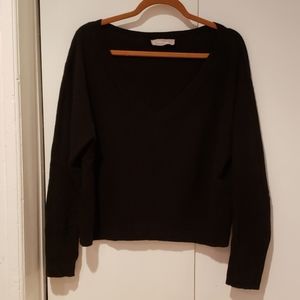 Everlane Cashmere V-neck sweater